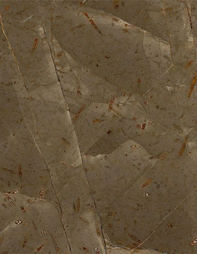 Jurassic-Brown-Extra-Azerobact