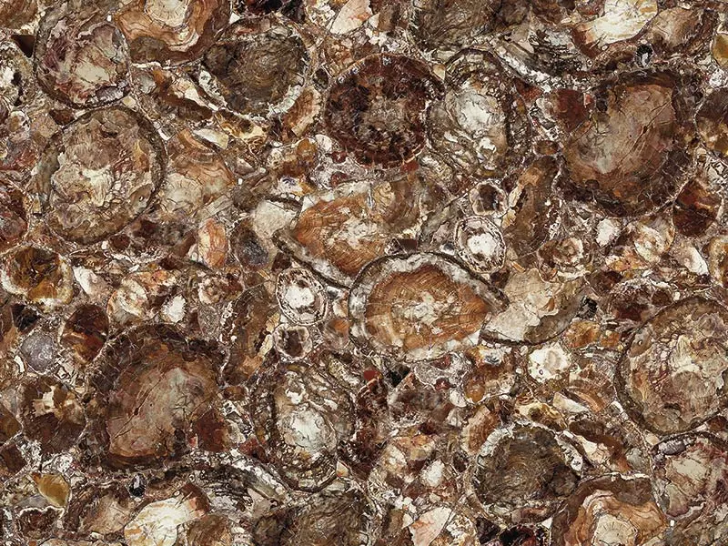 Petrified Wood Brown