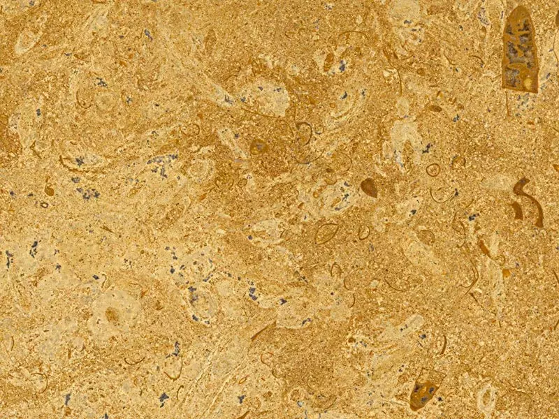 Home-and-palette-products-limestone-sample