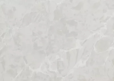 Icelake® BQ8668