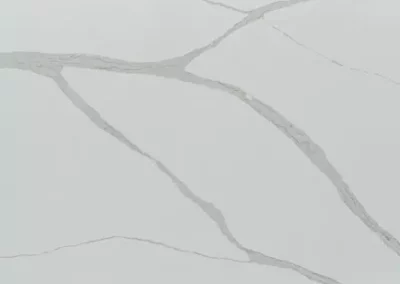 Michelangelo™ BQ8836