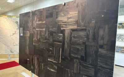 Amazing Black Petrified Wood Slabs from Allied Gallery