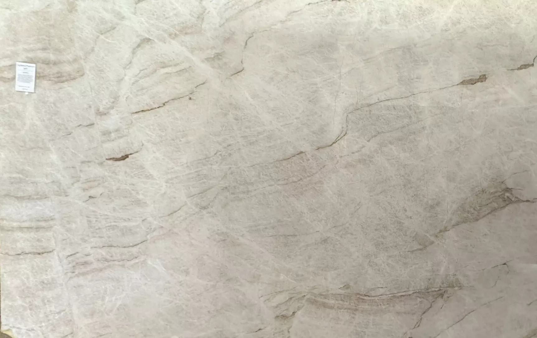 Taj Mahal Quartzite slab with creamy tones and distinctive veining, available at Allied Gallery Austin