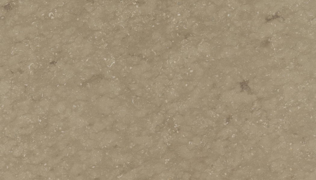 Seagrass Limestone
